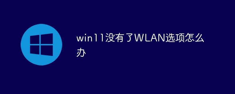 win11没有了WLAN选项怎么办