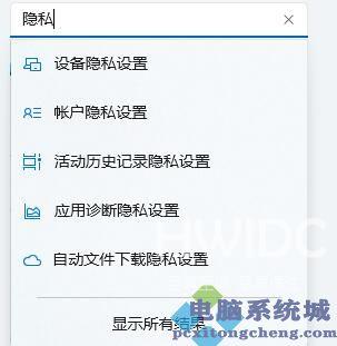 Win11隐私和安全性怎么设置？Win11开启