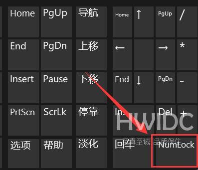 Win11键盘打不了字按键恢复教程