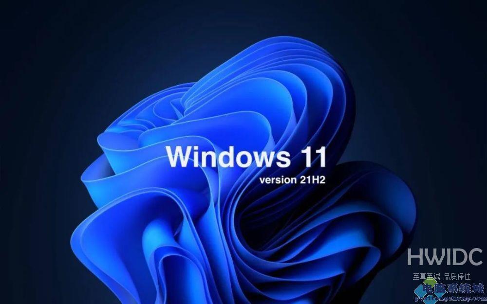 Win11文件管理器卡顿解决方法