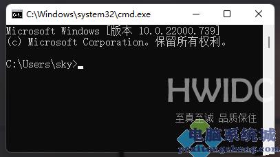 Win11网络地址ping测试