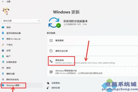 Win11如何开启传递优化功能？