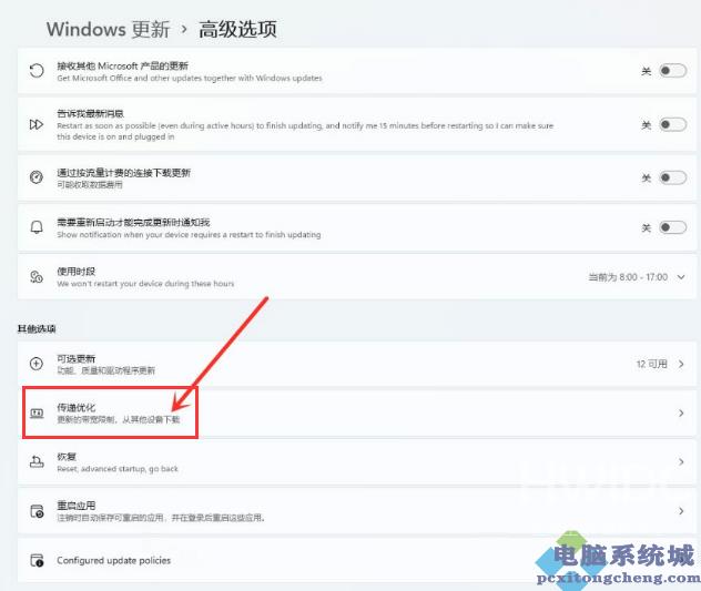 Win11如何开启传递优化功能？