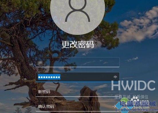 Win11如何取消开机密码