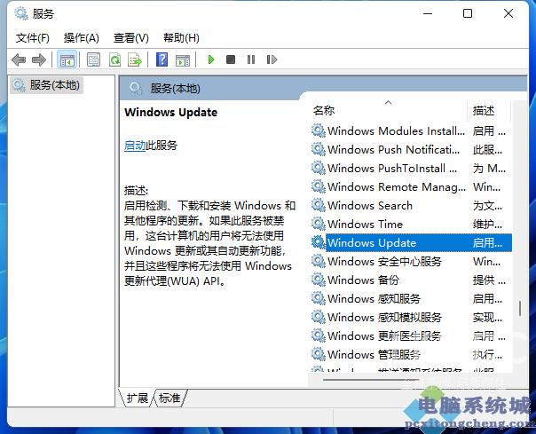 怎么取消windows11自动更新