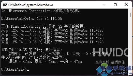 Win11网络地址ping测试